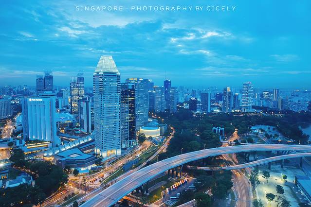 新加坡摩天观景轮