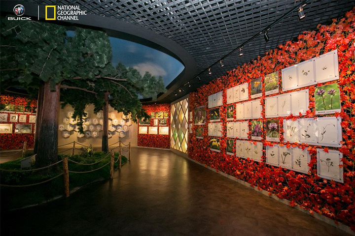 对于孩子们的科普教育是非常有帮助的,2000多平方的展厅真是可以一次