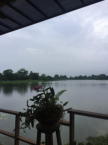 缅甸仰光2019GDP_缅甸仰光女