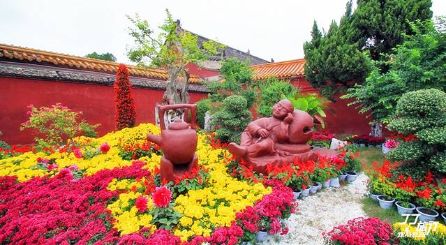 赴八朝古都开封,寻魂萦梦赏秋菊