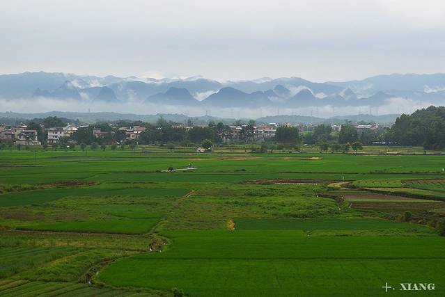 一路黔行--镇远、西江、加榜梯田、肇兴
