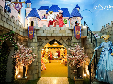 泰迪熊野生动物国旅游景点图片