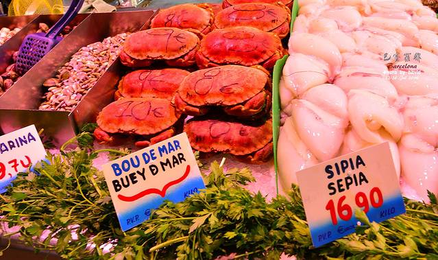 自驾尼斯、普罗旺斯、阿尔勒,巴塞罗那