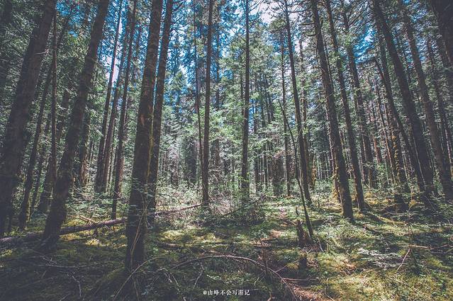 王朗国家级自然保护区