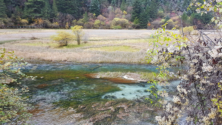 "天鹅海和芳草海首尾相接，海子内有一定的沼泽，水草肥美，常能吸引来天鹅，所以叫天鹅海_天鹅海"的评论图片