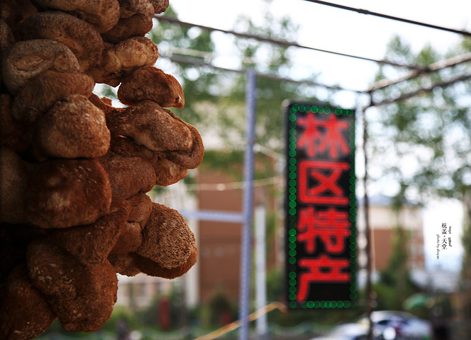 莫尔道嘎镇上,很多卖林区特产的商店,各种各样的蘑菇串成一串,路基蘑