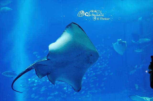 国营冲绳纪念公园