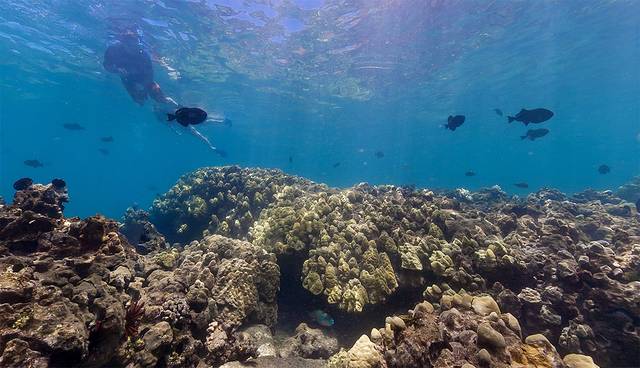 普吾可霍拉神庙国家历史遗迹