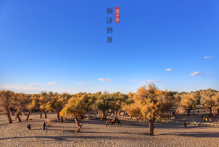 雷公在异世