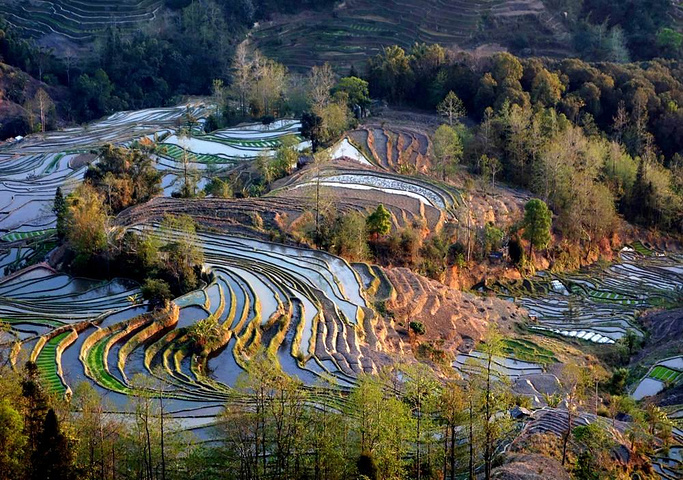 "这里是元阳山势最险峻、气势最恢宏壮观的梯田，堪称“大地雕塑”的典范。摄于元阳老虎嘴梯田景区_老虎嘴景区"的评论图片