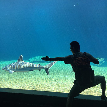 德班乌沙卡水底世界水族馆旅游景点攻略图