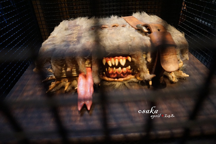 好玩了~关于快票:快票和门票是分开的,快票的