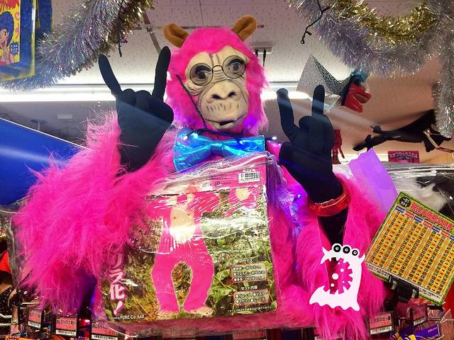 可爱的我们--冲绳卖萌记