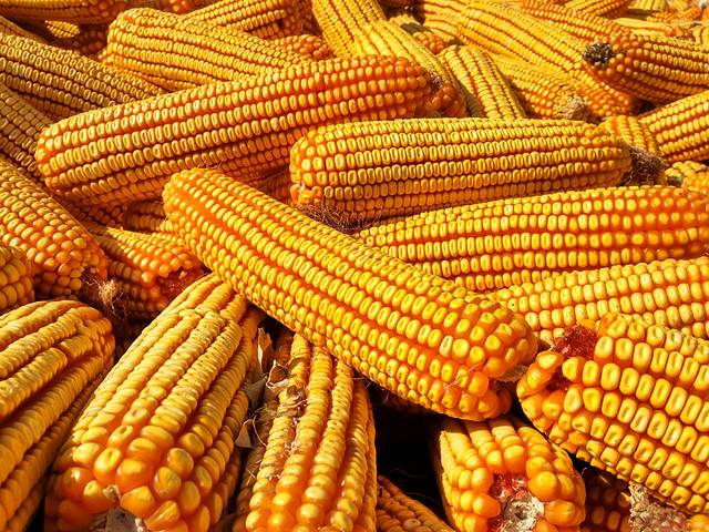 中华回族第一街