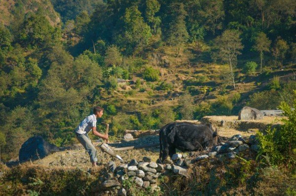 戈瑞帕里的布恩山