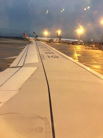 2017机场免税店食品类非常齐全可以在机场购