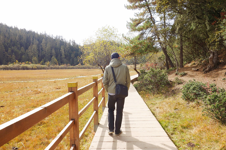 累了一天我们两个也是把点的牦牛肉和猪五花一扫而尽,满足的回到了