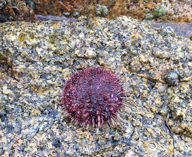 菲欣纳国家公园