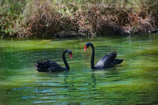 济南野生动物世界
