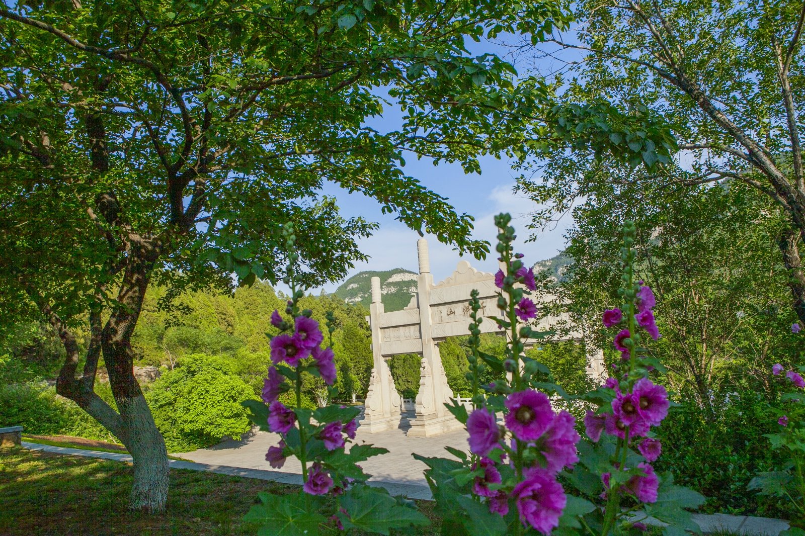 全貌这独特之处外,众多的文化古迹,香火旺盛的佛教寺庙都是其魅力之处