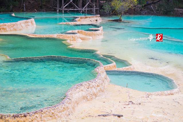黄龙国家重点风景名胜区-争艳池