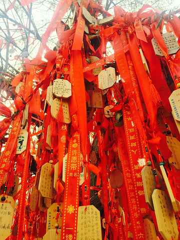 2017温泉很不错,感觉更像个园林吧,但是园林看