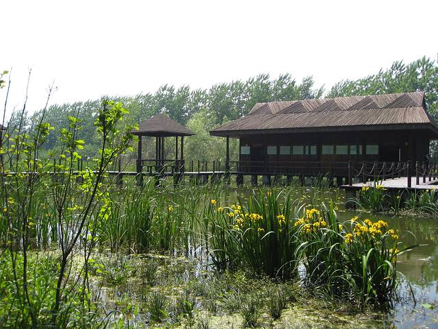 溱湖国家湿地公园