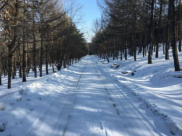 驿马山森林公园