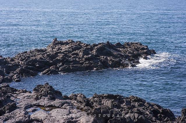 无人良心咖啡馆