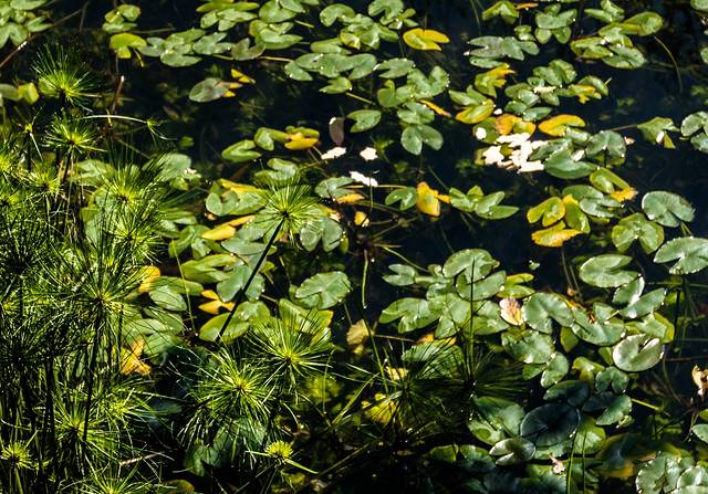 台湾--台北物语