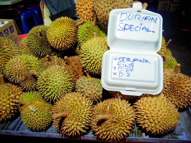 沙巴行,为潜水而来(亚庇+仙本那OW考证)