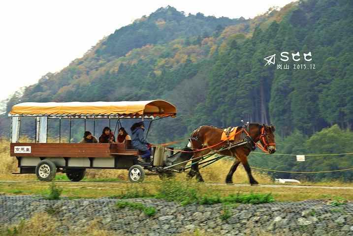 21还有一个嵯峨野小火车 是观光缆车 只有四站 可以jr嵯峨野站换成也可以jr龟岗站换乘 又一赏枫胜地 嵯峨野观光小火车 评论 去哪儿攻略