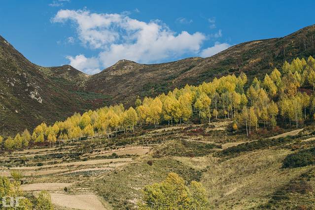 察汗河森林公园