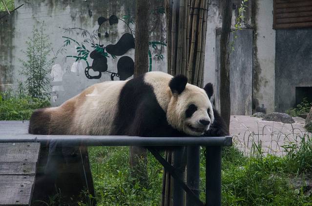 三江生态风景区