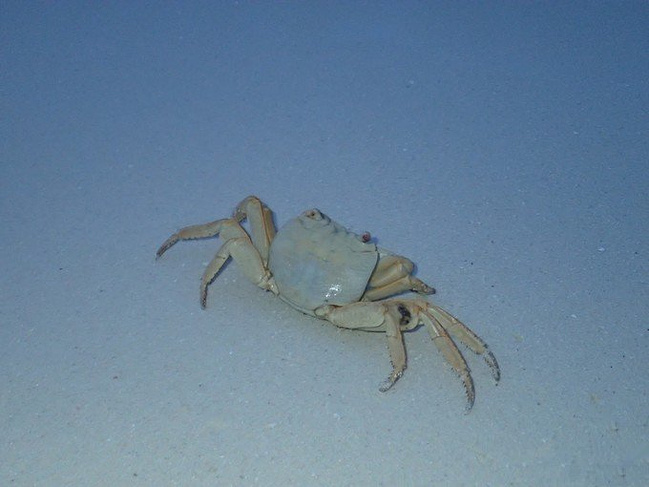 出发去那片海-W宁静岛_马尔代夫旅游攻略