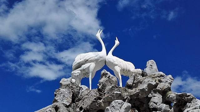 扎龙生态旅游区