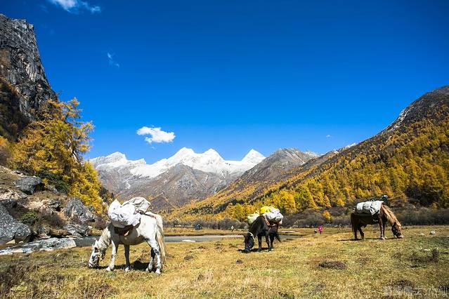 四姑娘山长坪沟景区