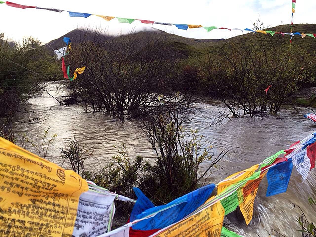 "看着那片开阔的沼泽地，再想那滚滚的岷江排山蹈海的气势，感觉是兴奋和深沉的_岷江源"的评论图片