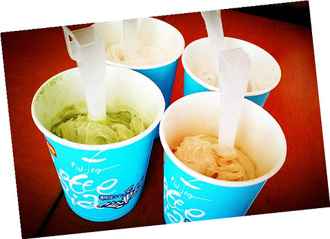 泰迪熊野生动物国旅游景点攻略图