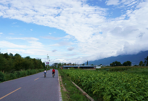才村旅游景点攻略图