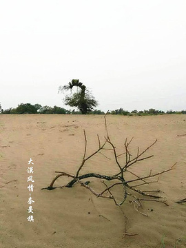 奈曼沙漠