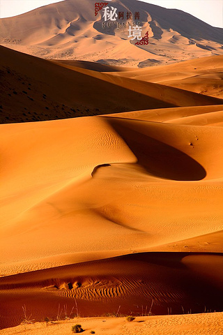 "巴丹吉林沙漠位于内蒙古自治区西部，是我国四大沙漠之一，高耸入云的沙山，静谧的湖泊与湿地奇观构成..._巴丹吉林沙漠"的评论图片