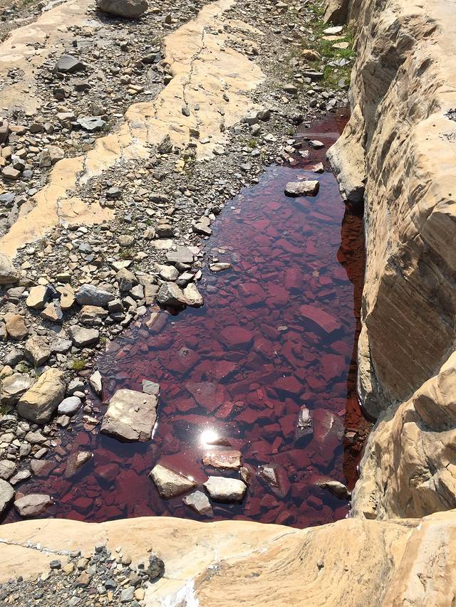 美国冰川湾国家公园