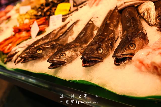 圣卡塔林纳市场