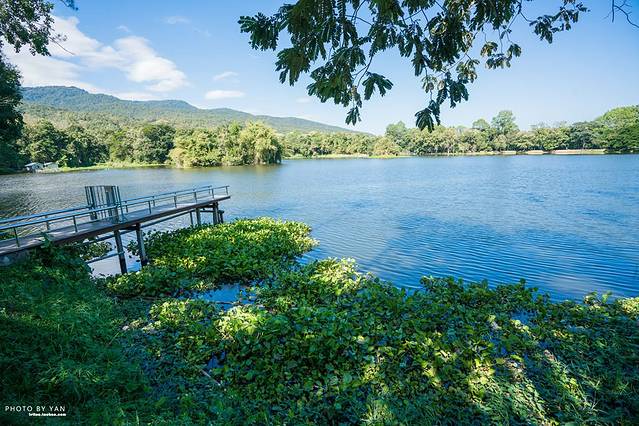 清迈大学静心湖