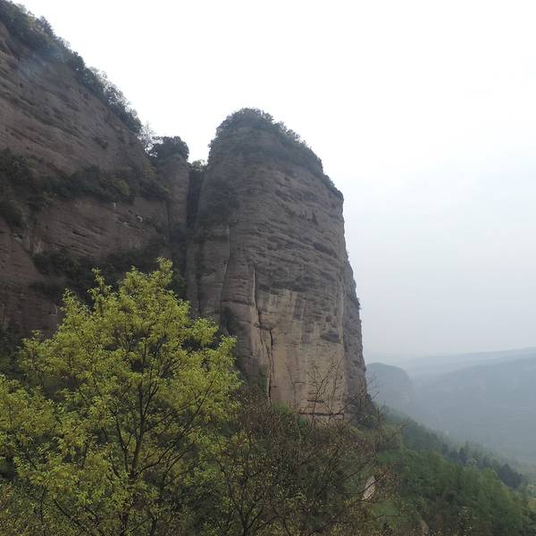 8f090ae29bf9cbb5.jpg_600x600x70_ddea3c88.jpg