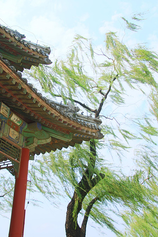 .然而赶到北大时已经过了开放参观的时间了,又