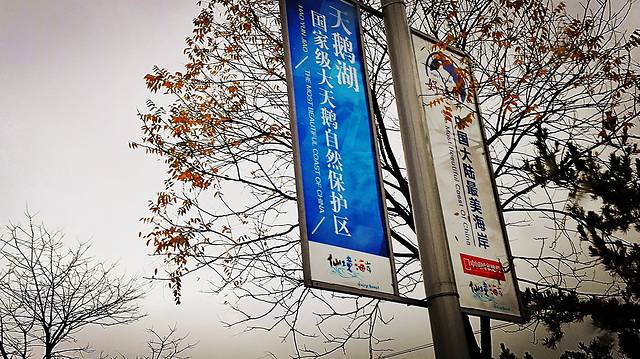 大天鹅国家级自然保护区