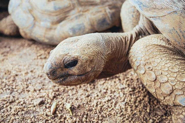 拉凡尼勒鳄鱼公园