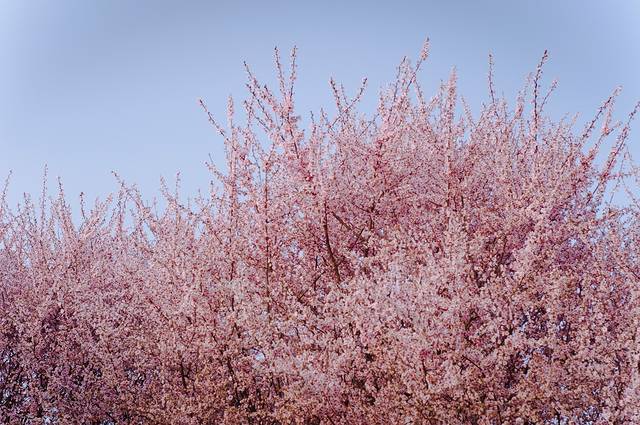 武汉理工大学（马房山校区）